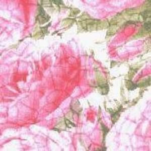 Meet your Posher, Claudia